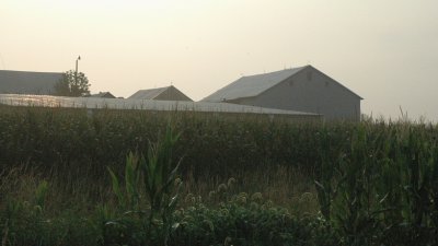 new morning farm bldgs & corn