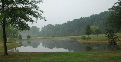 an early morning pond