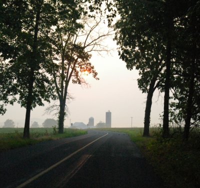 early morning farm