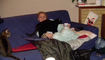 Val buried under cats.jpg
