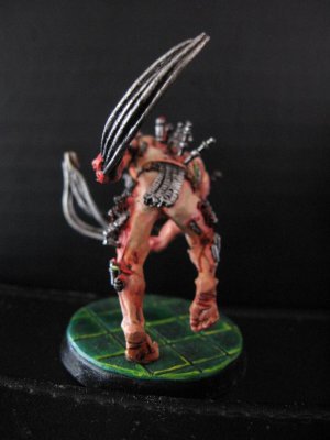 Arcoflagellant