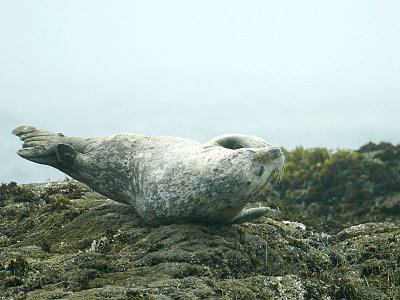 aIMG_5074.jpg
