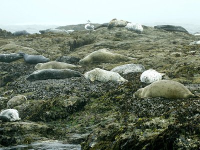 aIMG_5075.jpg