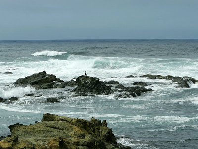 aIMG_5092.jpg