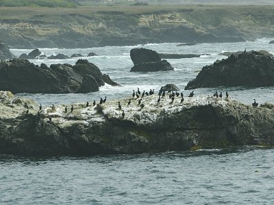 aIMG_5097.jpg