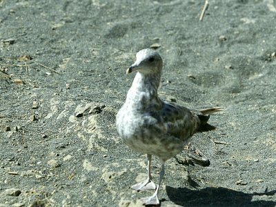 aIMG_5108.jpg