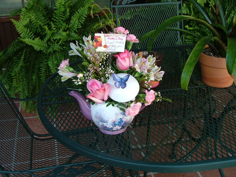 DSCF2050.JPG