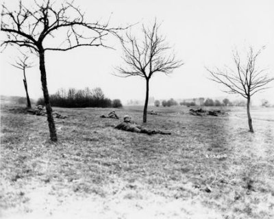 64228633406_0_BG.jpg