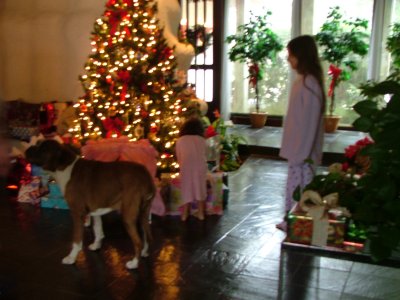 DSCF5726.JPG