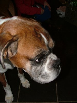 DSCF5812.JPG