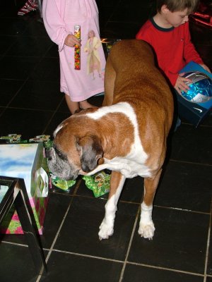 DSCF5813.JPG