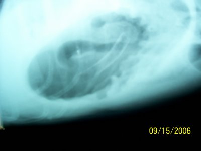 100_0153.JPG