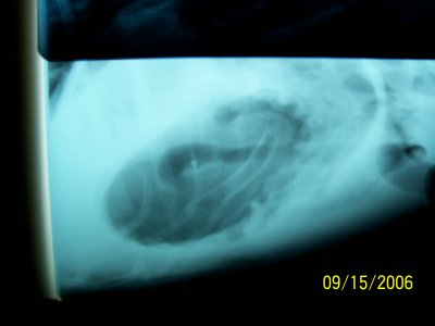 100_0154.JPG