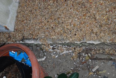 DSC_0018.JPG - porch edge