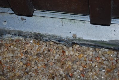 DSC_0029.JPG - front door threshold with incompletely removed black slate