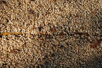 DSC_0045.JPG - sloppy expansion joint