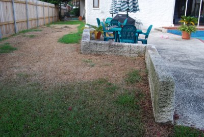 DSC_0097.JPG more dead grass