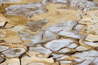 Cracked earth and salt in the Badwater Basin, Death Valley