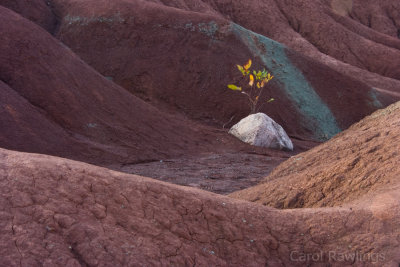 Between a rock and a hard place