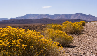 Along Hwy 190, west of Death Valley