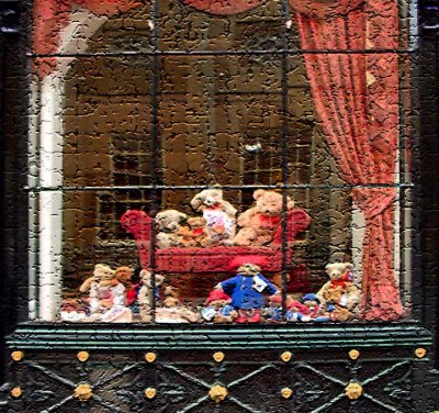 Bear Window