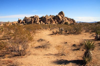 Rocks