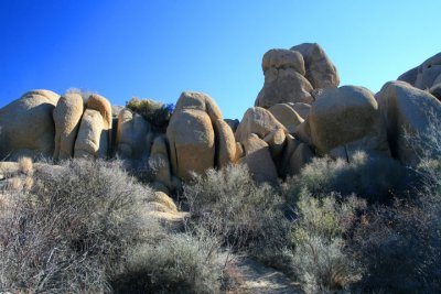 Jumbo Rocks 3