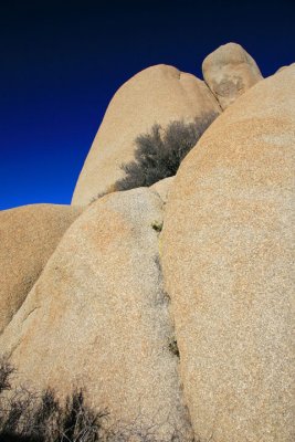 Jumbo Rocks 4