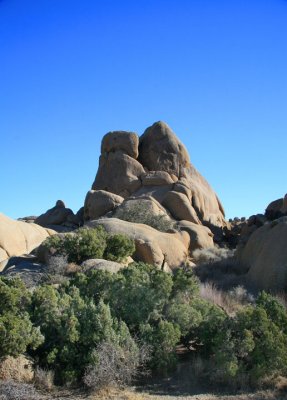 Jumbo Rocks 5