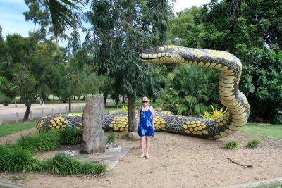 Snake - Ayr, Queensland