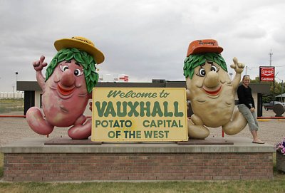 Potato - Vauxhall, Alberta