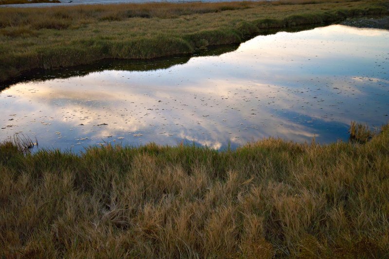 Salt Creek Pond