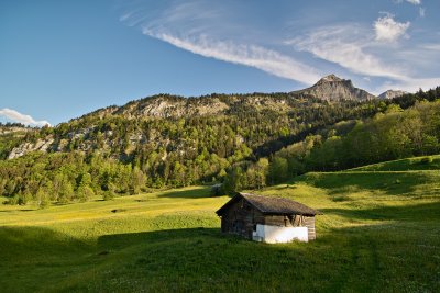 A Barn