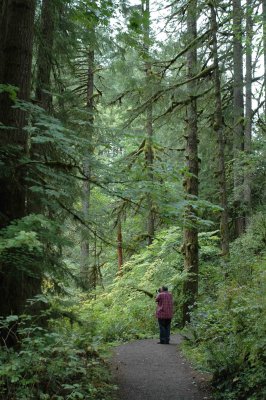 Tom at Silver Falls