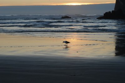 Cannon Beach