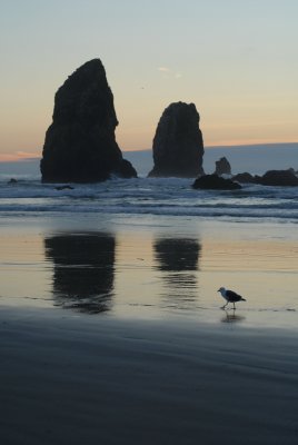 Cannon Beach