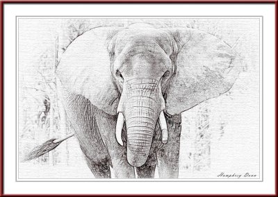 elephant pencil.jpg