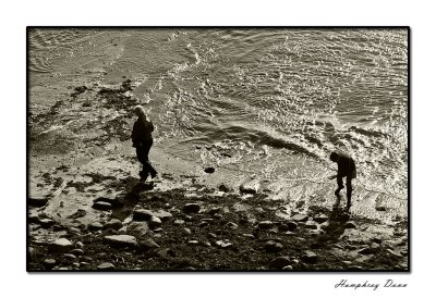 Kimmeridge Bay