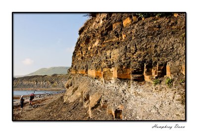 Kimmeridge Bay