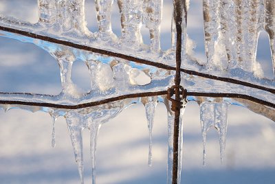 Winter at the Gate