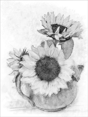 Sunflowers Pencil