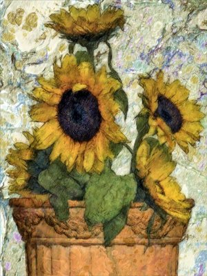 Sunflowers In A Terracotta Pot