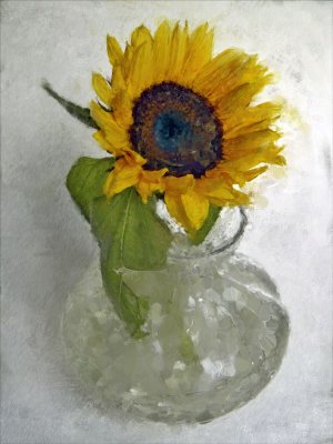 One Sunflower In A Glass Vase
