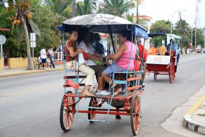 Local horse-driven taxi