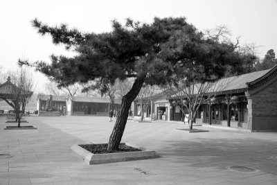 XIMG_6258.jpg