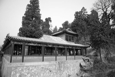 XIMG_6268.jpg