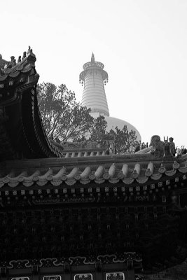 XIMG_6308.jpg