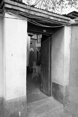 XIMG_6363.jpg