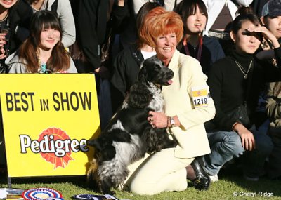 Tully wins BEST IN SHOW at the Royal Melbourne Show 