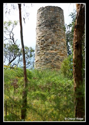 5817-scott-creek-old-chimney